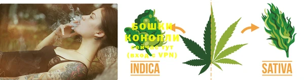первитин Богданович