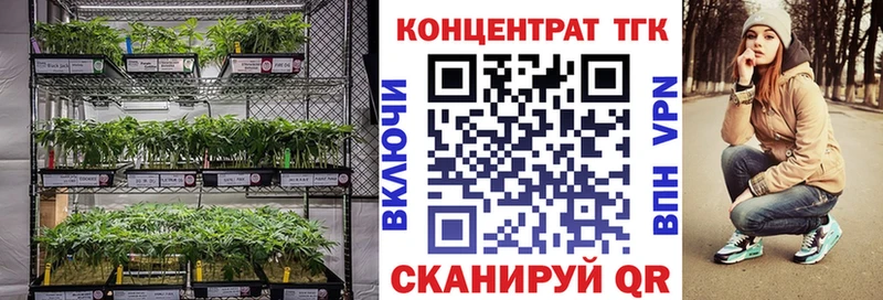ТГК Wax  Реж 