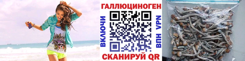 сколько стоит  Реж  маркетплейс официальный сайт  Псилоцибиновые грибы Magic Shrooms 